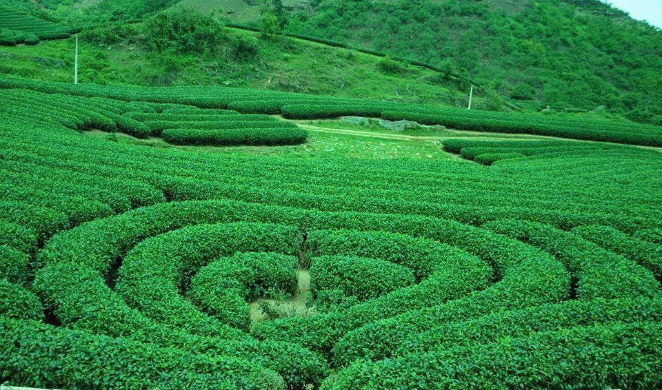 Green Hotel Moc Chau Kültér fotó